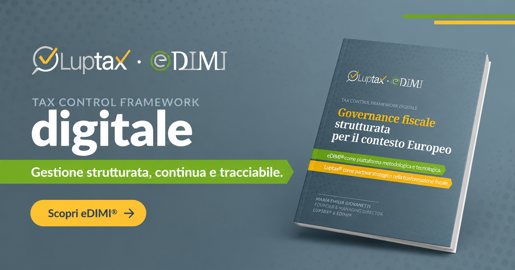 Brochure eDIMI - Tax Control Framework